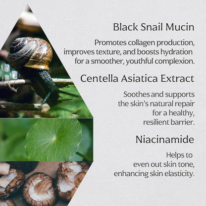 [] Crema Alla Bava Di Lumaca Nera (35Ml) Crema Premium; Trattamento Anti-Invecchiamento; Cosmetico Coreano Con Estratti Di Piante E Mucina Di Lumaca Nera (All in One Black Snail Cream)
